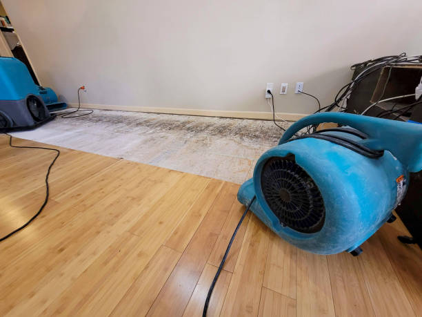 Professional Water Extraction technician working in South Amboy, NJ